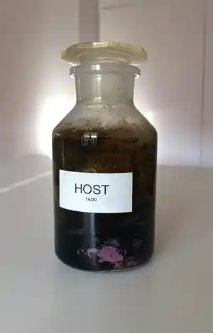 Antony Gormley - Host, 1998 vendu pour 250€ !