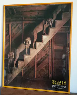 William Wegman - Zeldzame Tentoonstelling Poster - "Barn Stairs" - Aspen Art Museum kopen? Bied vanaf 40!