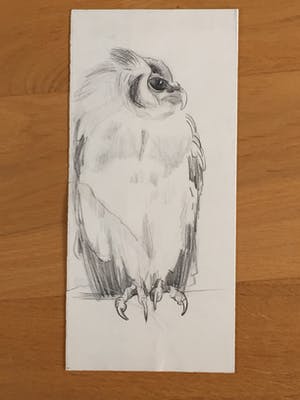 Engelien Reitsma-Valenca - Acht tekeningen van dieren in potlood of zwart krijt kopen? Bied vanaf 50!