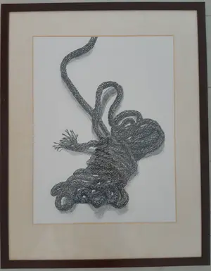 Har Sanders - Striktouw kopen? Bied vanaf 50!