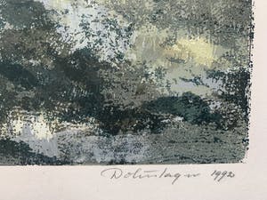 Hans Dolieslager - kleurenzeefdruk - 'November' - 1992 kopen? Bied vanaf 75!