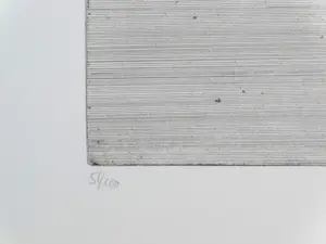 Katinka Niederstrasser - Surrealistisch gezicht en abstract landschap kopen? Bied vanaf 25!