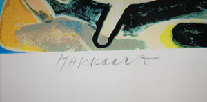 Fer Hakkaart - Figuren. kopen? Bied vanaf 39!