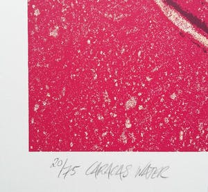 Paul Baars - Water: Houston/ Paris/ Caracas kopen? Bied vanaf 1!