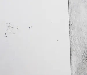 Nika Meerman - Ets en aquatint, Twee werelden van verschil (Groot) kopen? Bied vanaf 1!