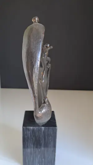 Corry Ammerlaan - Succesvol samenwerken. kopen? Bied vanaf 40!