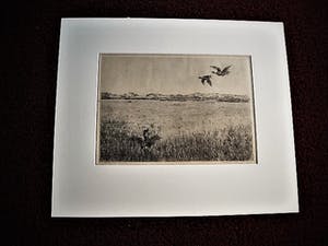 Martin van Waning - Mooie grote Droge Naald Ets - Vliegende eenden Schiermonnikoog - gesigneerd kopen? Bied vanaf 29!