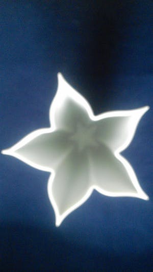 Hutschenreuther - Stervaas kopen? Bied vanaf 17!