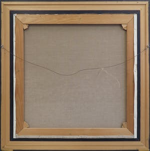 Wim Mast de Gooijer - Olieverf op doek, Spectator - Ingelijst kopen? Bied vanaf 400!