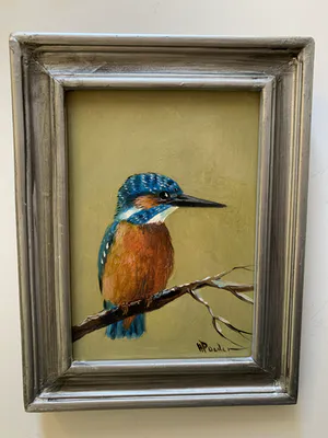 Henk Poeder - Vogel kopen? Bied vanaf 91!