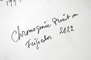 Pim Westerweel - Nude with black hat 1994 kopen? Bied vanaf 100!