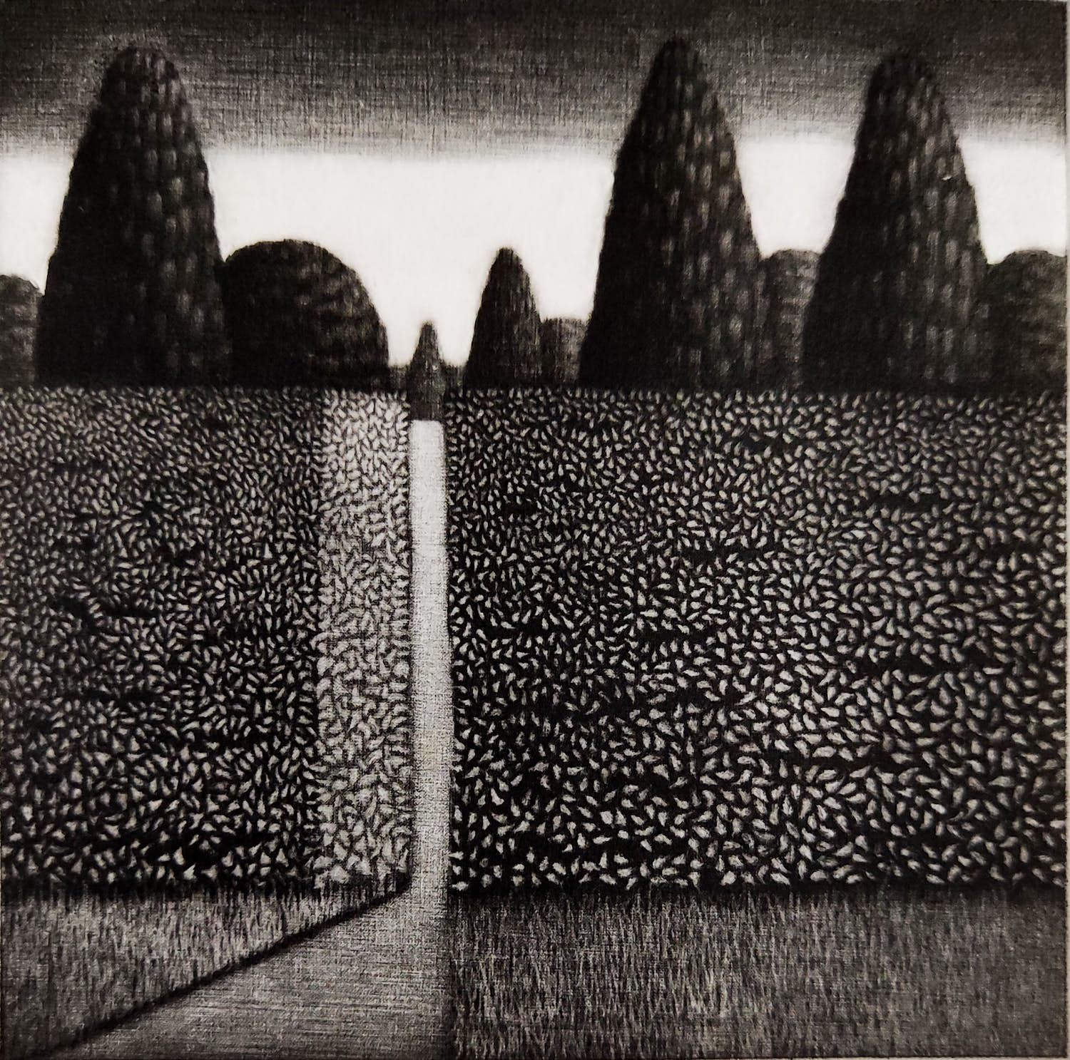 Joop Vegter - Achter de haag kopen? Bied vanaf 60!