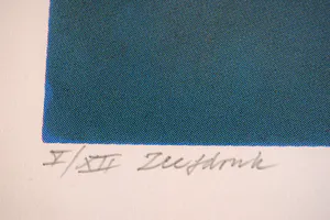 Taco Meeuwsen - Kleurenzeefdruk - Deep Down Under kopen? Bied vanaf 45!