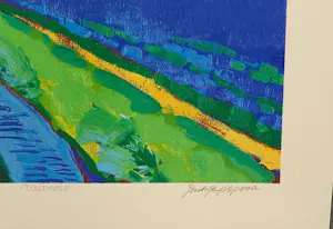 Jentsje Popma - Bollenveld kopen? Bied vanaf 100!