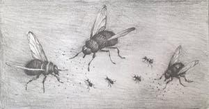 Hans van Dokkum - gesigneerde ets kopen? Bied vanaf 35!