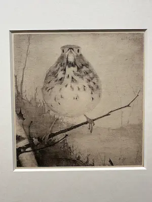 Jan Mankes - Heliogravure " Lijster op tak " kopen? Bied vanaf 175!