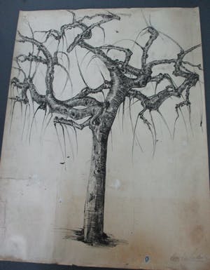 Frits van der Zander - Boomstudie kopen? Bied vanaf 15!