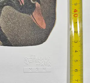 Poen de Wijs - Carnaval de animaux 2 kopen? Bied vanaf 85!