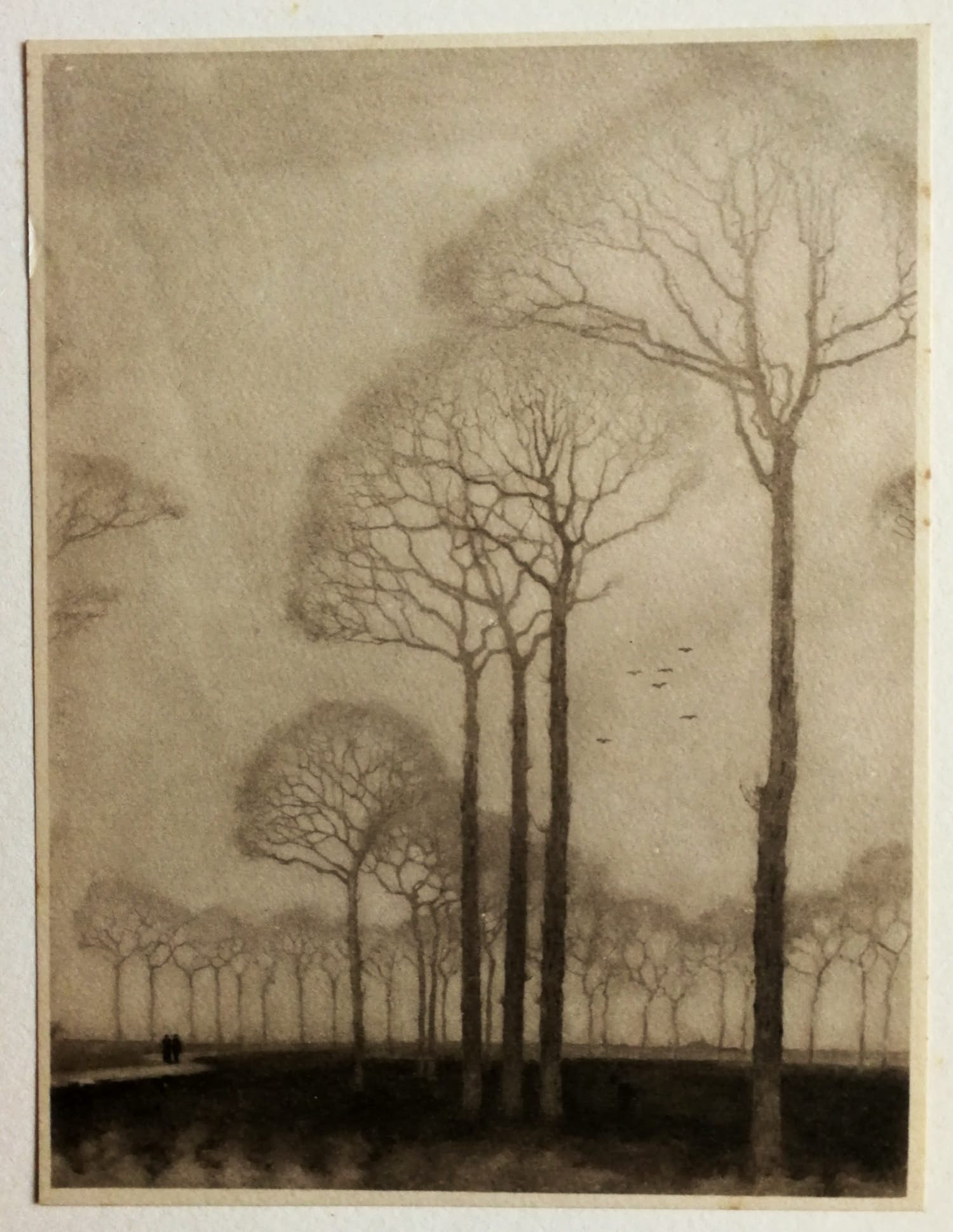 Jan Mankes - Bomenrij. Heliogravure. kopen? Bied vanaf 1!