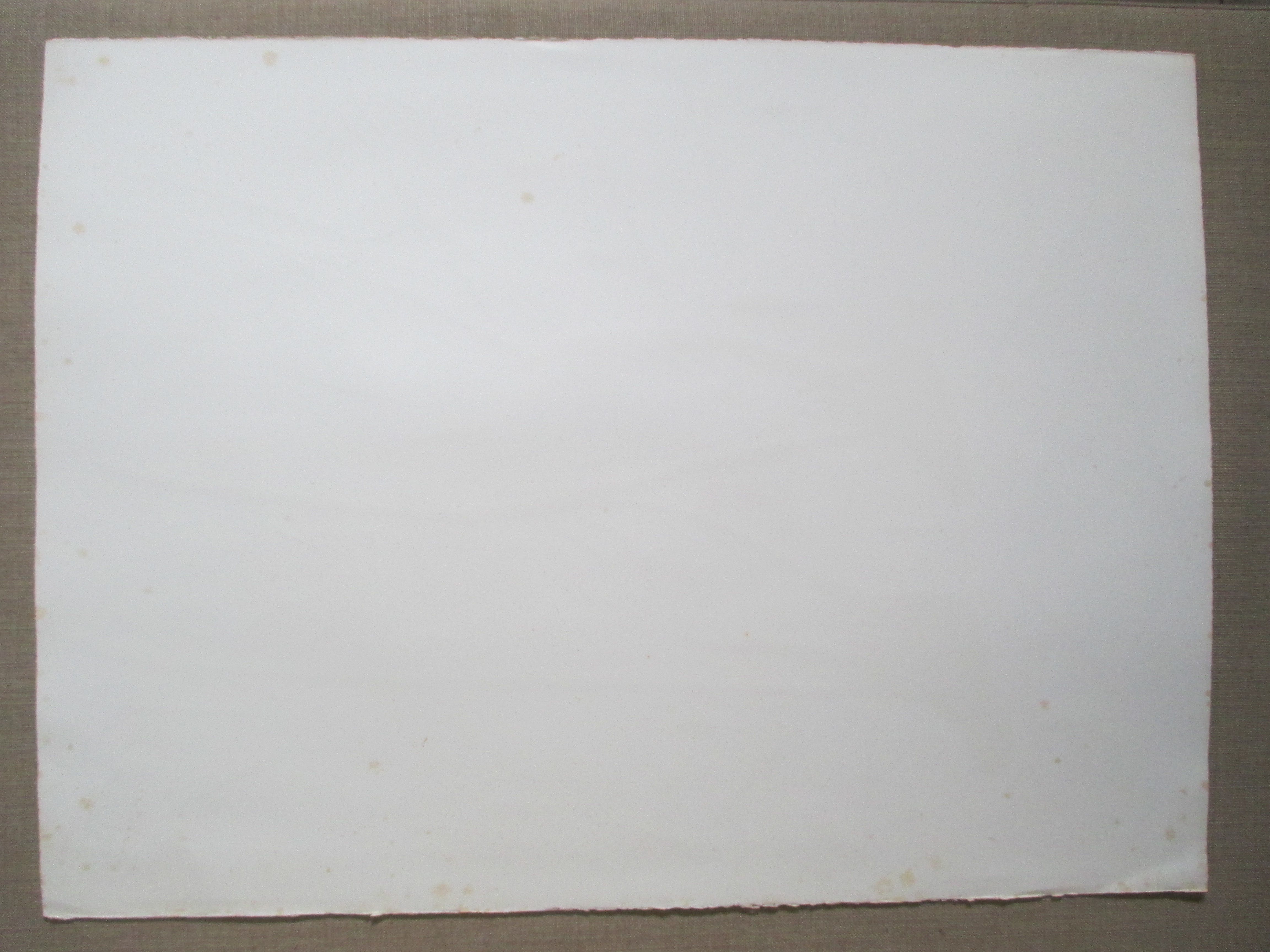 Henk Visch - Litho "Ontwapend" kopen? Bied vanaf 1!