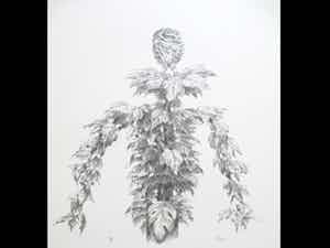 Peter Vos - Uil in boomtop - Litho verkocht voor € 100!