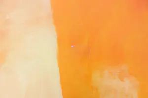 Theodora Plas - Olieverf op doek, Didimus & Theodora (Zeer groot) kopen? Bied vanaf 100!