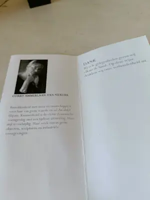 Corry Ammerlaan - NIEUW prachtig bronzen beeldje in doos kopen? Bied vanaf 38!