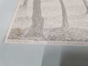 Saulius Ikamas - Vilnius Katedros Skveras kopen? Bied vanaf 20!