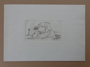 Lex Metz - MENS-VISSEN / ZW-W ETS / 37x53cm / SIG kopen? Bied vanaf 10!