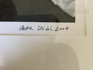 Anton Sladek - Ballerina's kopen? Bied vanaf 75!