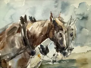 Wim Vaarzon Morel (jr.) - Paarden kopen? Bied vanaf 350!