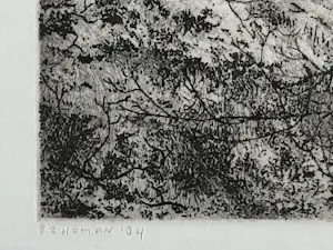 Reinder Homan - Wilgenbos kopen? Bied vanaf 50!