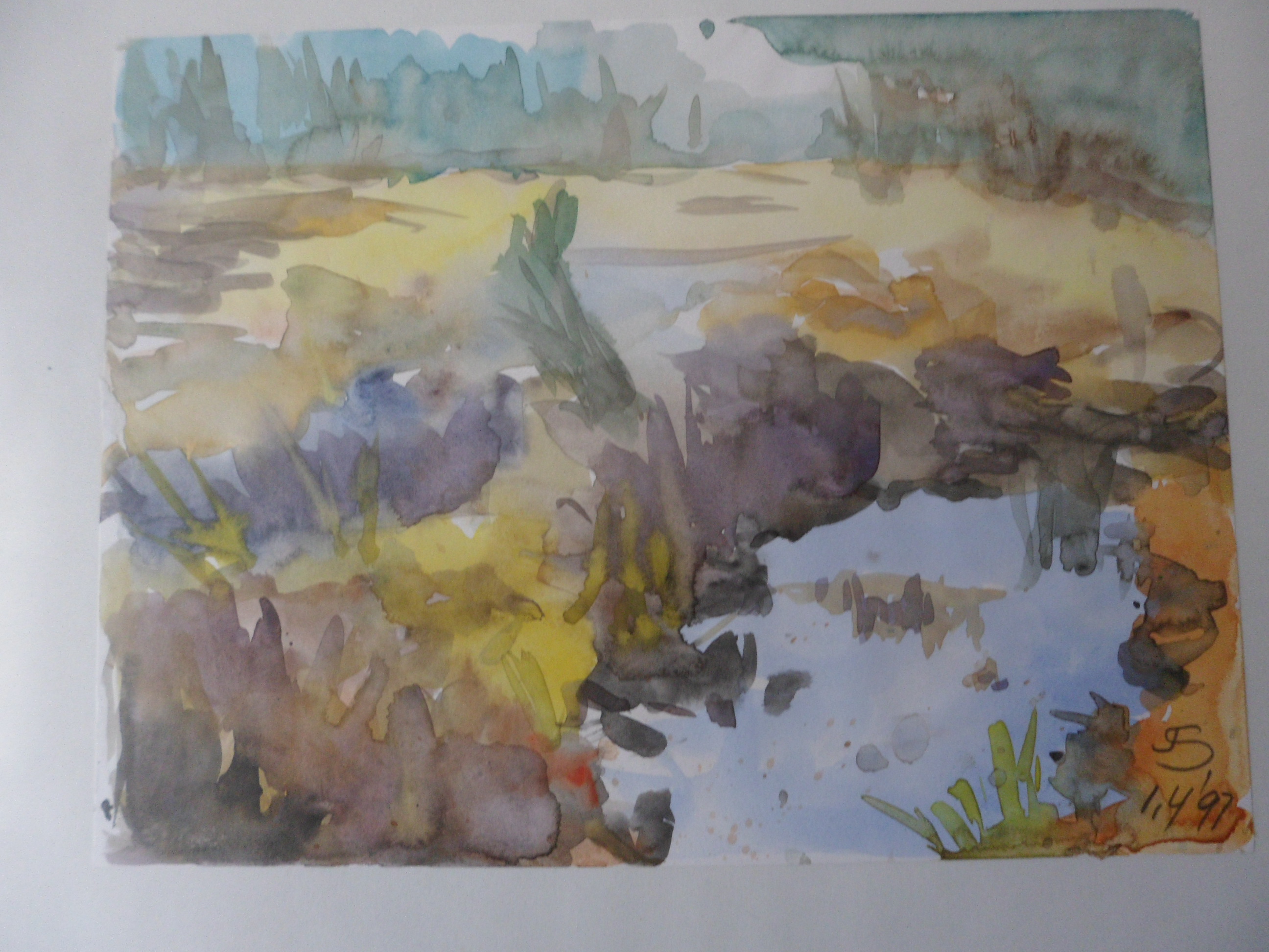 Niet of onleesbaar gesigneerd - Gesigneerd met J.S, waterplas kopen? Bied vanaf 1!