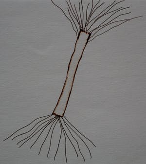 Ruud Matthes - Ets: boom(2) - 1987 kopen? Bied vanaf 45!