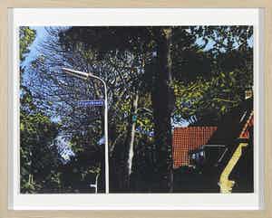 Rob Scholte - Zeefdruk, Filarskiweg uit serie Bergense School, 13 dorpsgezichten - Ingelijst verkocht voor € 1!