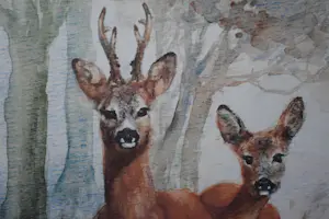 Corry Schenk - Twee Reeën kopen? Bied vanaf 50!