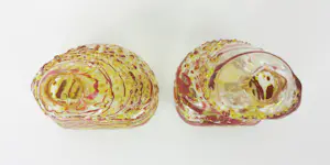 Bernard Heesen - Twee rood gele vaasjes met structuur kopen? Bied vanaf 200!