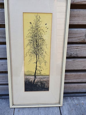 Tom Anema - Boom met vogels kopen? Bied vanaf 34!