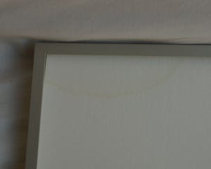 Jeanne Bieruma Oosting - Ingelijste linoleumsnede , ‘Exotische tuin’ – 1957 kopen? Bied vanaf 75!