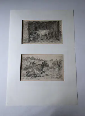 Frans Lebret - 2 fraai gedetailleerde Etsen "Koeien + Stier in stal" - 1908 - in passe partout kopen? Bied vanaf 34!