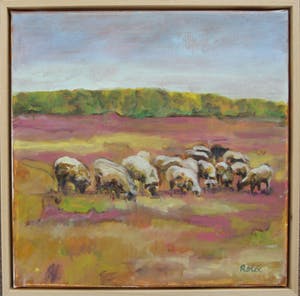 Niet of onleesbaar gesigneerd - Drentsche schapen op de heide kopen? Bied vanaf 1!