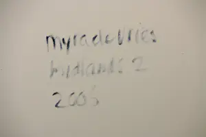 Myra de Vries - Acryl op doek, Midlands * 2 kopen? Bied vanaf 150!