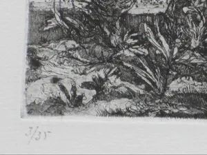 Fer Hakkaart - Koppel in roeibootje - Ets kopen? Bied vanaf 80!