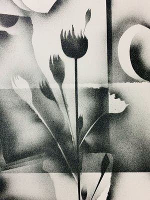 Gislain Dussart - Tulips kopen? Bied vanaf 18!