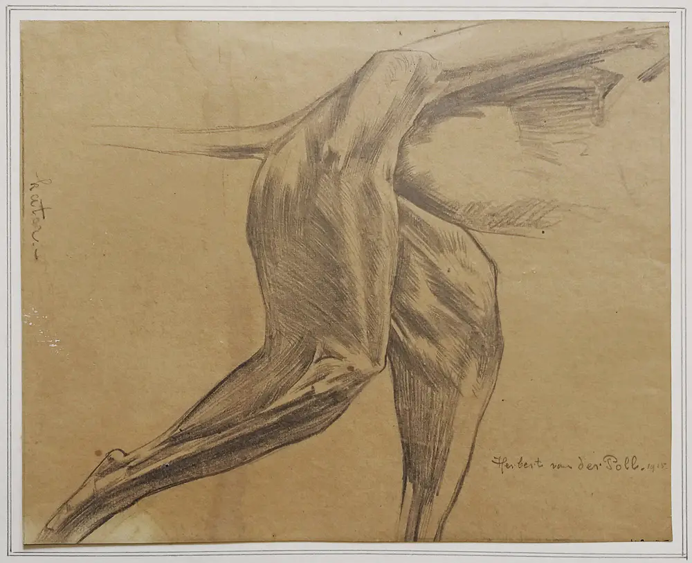 Herbert van der Poll (1877-1963)