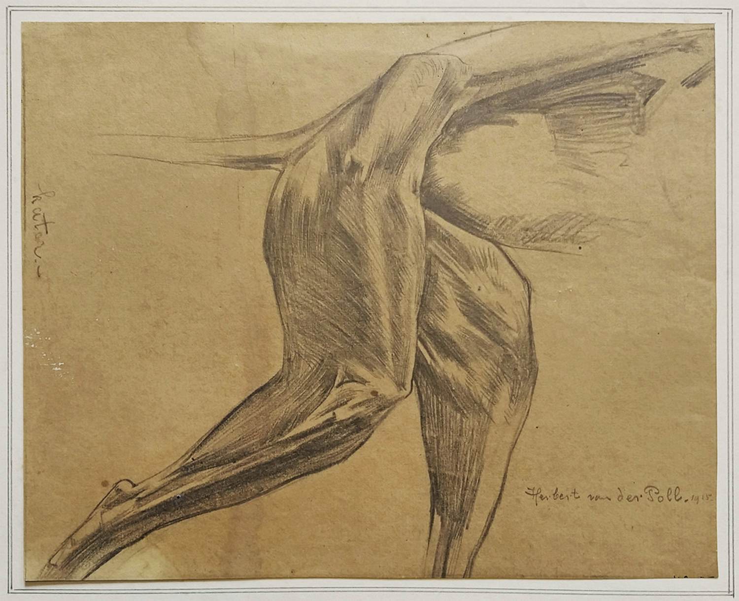 Herbert van der Poll - kater (1915) kopen? Bied vanaf 40!