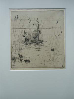 Johan Hemkes - EINEKUORREN kopen? Bied vanaf 35!