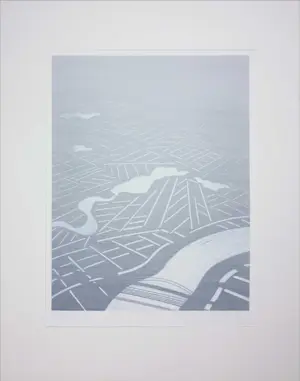 AcheterJeroen Henneman - Litho, Nederlands landschap vanuit vogelvluchtperspectief? Enchérissez de 1!