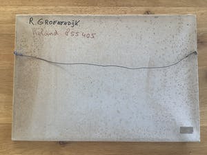 Roland Groenendijk - Roland 855405. kopen? Bied vanaf 10!