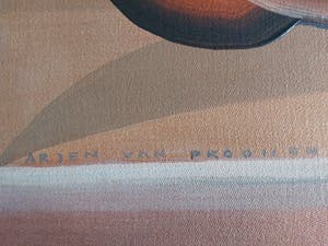 Arjen van Prooijen - kom met inzicht kopen? Bied vanaf 50!